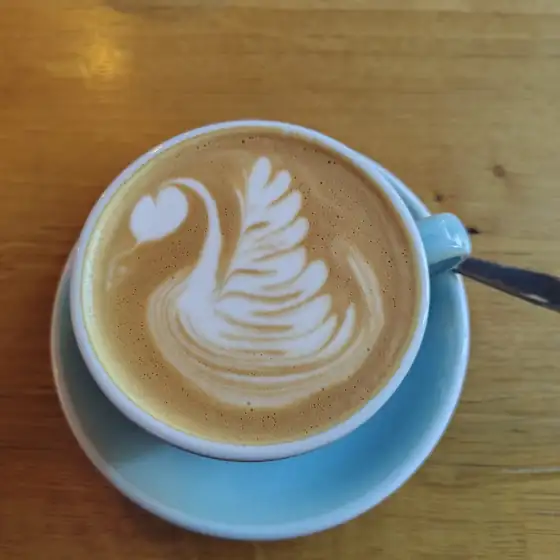 Łabędź na latte